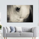 White Horse Eye Wall Art White Horse Eye Wall Art