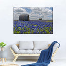 Texas Bluebonnets Wall Art Texas Bluebonnets Wall Art