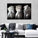 Three White Horses Wall Art Three White Horses Wall Art