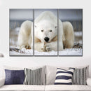 Yoga Polar Bear Wall Art Yoga Polar Bear Wall Art