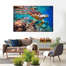 Vivid Sea Life Wall Art Vivid Sea Life Wall Art