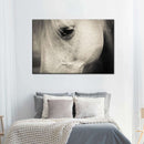 White Horse Eye Wall Art White Horse Eye Wall Art