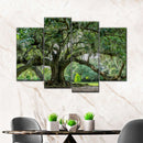 Audubon Park Oak Tree Wall Art Audubon Park Oak Tree Wall Art