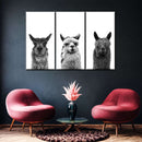 Trio Alpaca Wall Art Trio Alpaca Wall Art