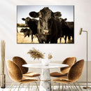 Black Angus Cattle Wall Art Black Angus Cattle Wall Art
