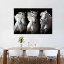 Three White Horses Wall Art Three White Horses Wall Art