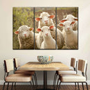 Stunned Sheep Wall Art Stunned Sheep Wall Art