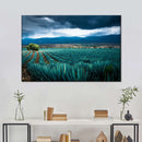 Agave Plantation At Morning Wall Art Agave Plantation At Morning Wall Art