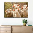 Stunned Sheep Wall Art Stunned Sheep Wall Art