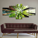 Ancient California Redwood Wall Art Ancient California Redwood Wall Art