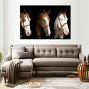 American Paint Horses Wall Art American Paint Horses Wall Art