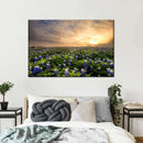 Bluebonnets At Sunset Wall Art Bluebonnets At Sunset Wall Art