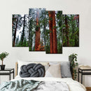Vibrant Redwood Wall Art Vibrant Redwood Wall Art