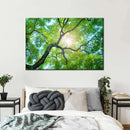 Tree Canopy Sunshine Wall Art Tree Canopy Sunshine Wall Art