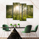 Birch Forest Sunlight Wall Art Birch Forest Sunlight Wall Art