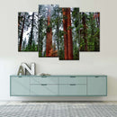 Vibrant Redwood Wall Art Vibrant Redwood Wall Art