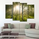 Birch Forest Sunlight Wall Art Birch Forest Sunlight Wall Art