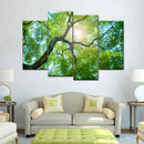 Tree Canopy Sunshine Wall Art Tree Canopy Sunshine Wall Art