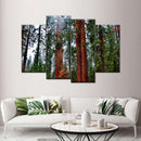 Vibrant Redwood Wall Art Vibrant Redwood Wall Art