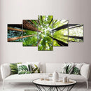 Ancient California Redwood Wall Art Ancient California Redwood Wall Art