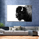 Black Bison Wall Art Black Bison Wall Art