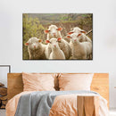 Stunned Sheep Wall Art Stunned Sheep Wall Art