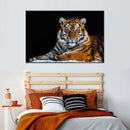 Tiger Snapshot Wall Art Tiger Snapshot Wall Art