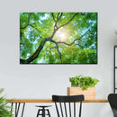 Tree Canopy Sunshine Wall Art Tree Canopy Sunshine Wall Art