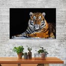 Tiger Snapshot Wall Art Tiger Snapshot Wall Art