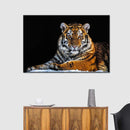 Tiger Snapshot Wall Art Tiger Snapshot Wall Art