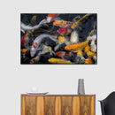 Abundant Koi Fish Wall Art Abundant Koi Fish Wall Art