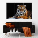 Tiger Snapshot Wall Art Tiger Snapshot Wall Art