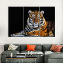 Tiger Snapshot Wall Art Tiger Snapshot Wall Art