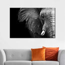 Wise Elephant Wall Art Wise Elephant Wall Art