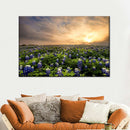 Bluebonnets At Sunset Wall Art Bluebonnets At Sunset Wall Art