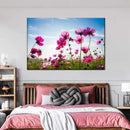 Wild Cosmos Flowers Wall Art Wild Cosmos Flowers Wall Art