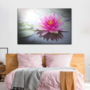 Beaming Pink Lotus Wall Art Beaming Pink Lotus Wall Art