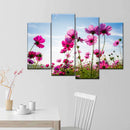 Wild Cosmos Flowers Wall Art Wild Cosmos Flowers Wall Art