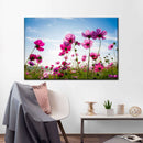 Wild Cosmos Flowers Wall Art Wild Cosmos Flowers Wall Art