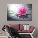 Beaming Pink Lotus Wall Art Beaming Pink Lotus Wall Art