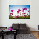 Wild Cosmos Flowers Wall Art Wild Cosmos Flowers Wall Art