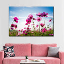 Wild Cosmos Flowers Wall Art Wild Cosmos Flowers Wall Art