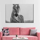 Winter Horse Wall Art Winter Horse Wall Art
