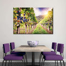 Autumn Vineyard Landscape Wall Art Autumn Vineyard Landscape Wall Art