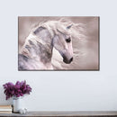 Arabian Dapple Grey Horse Wall Art Arabian Dapple Grey Horse Wall Art