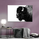 Black Bison Wall Art Black Bison Wall Art