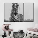 Winter Horse Wall Art Winter Horse Wall Art