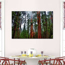 Vibrant Redwood Wall Art Vibrant Redwood Wall Art