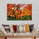 Autumn Japanese Maple Tree Wall Art Autumn Japanese Maple Tree Wall Art