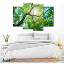 Tree Canopy Sunshine Wall Art Tree Canopy Sunshine Wall Art